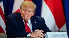 Trump's 'Super Intelligence' push drives SI domain registrations