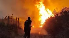 Algeria death penalty arson: New laws after wildfires